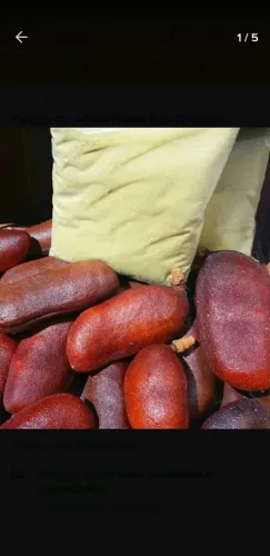 Farinha pura polpa frutos Jatobá da Amazonia-AM (100g)