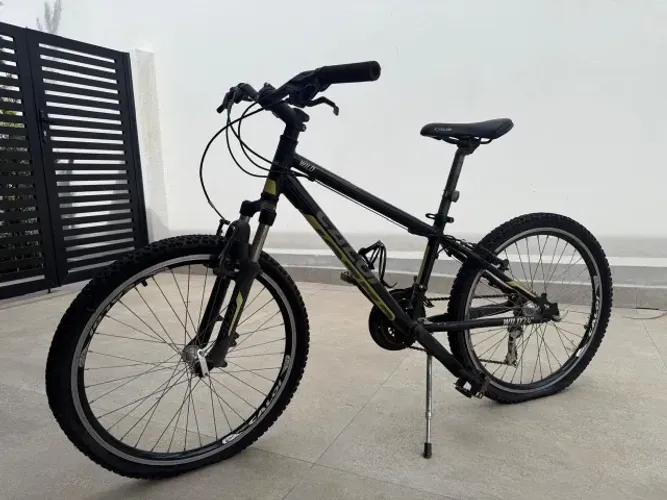 Bike Caloi Wild 24
