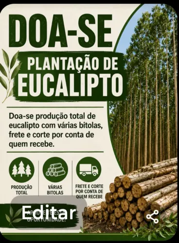 Doação de toras de eucalipto 