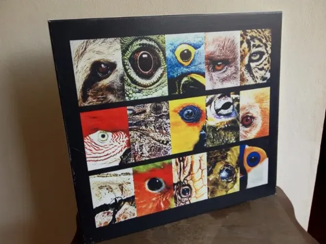 Quadro Animais olhares fauna brasileira