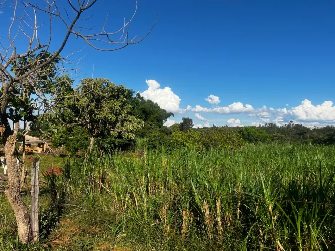 Alugo chácara para fins agropecuários