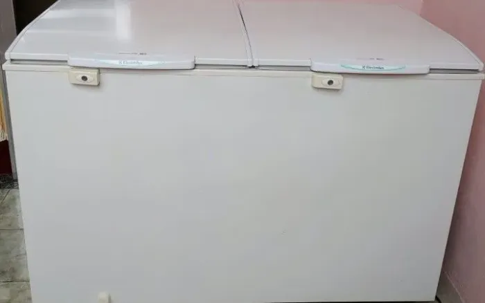 Freezer horizontal