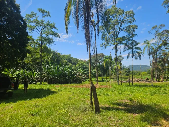 Excelente Área Rural à Venda no Rio Sagrado - Morretes