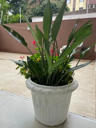 Vaso de flores em concreto com flores junto