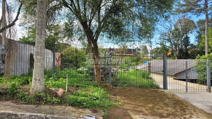 TERRENO à venda com 364m² por R$ 600.000,00 no bairro Mossunguê - CURITIBA / PR