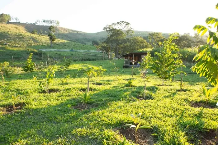 CHÁCARA PARAIBUNA - 7800 m² - Excelente topografia - plana