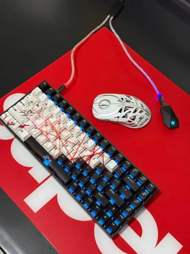 KIT Wlmouse - Ying 75 e Strider