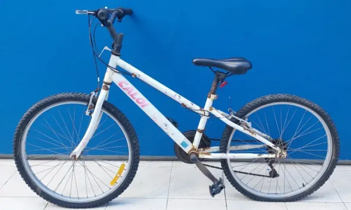 Bicicleta bike