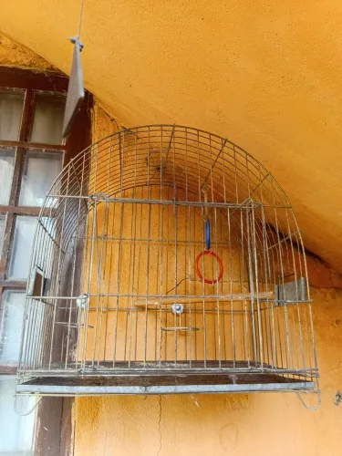 Gaiola de ferro
