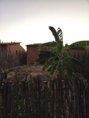 Casa boa e barata com terreno grande