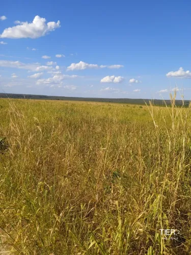 Fazenda em Novo Acordo