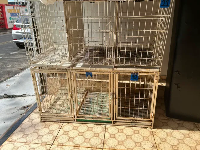 Vendo gaiolas de pet shop