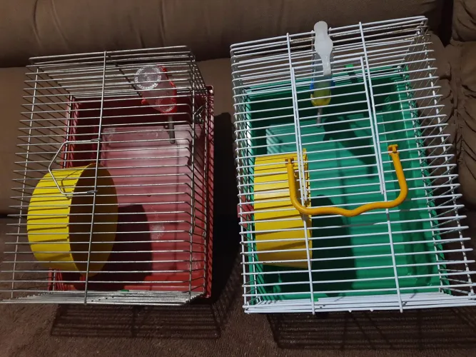 Gaiola Ramister Rato