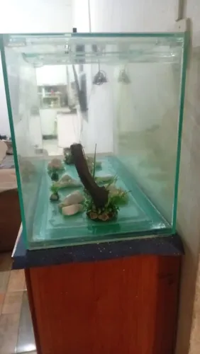 aquário com bomba 