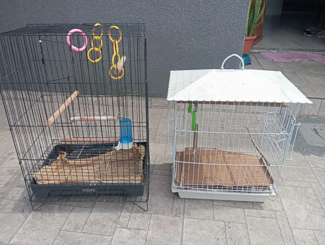 Gaiolas para calopsita 