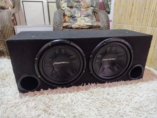 Vendo caixa com 2 alto falante de 12 paineer 311