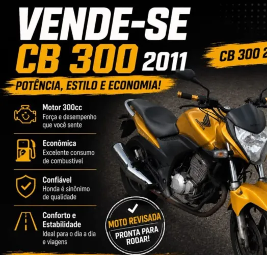 oportunidade 