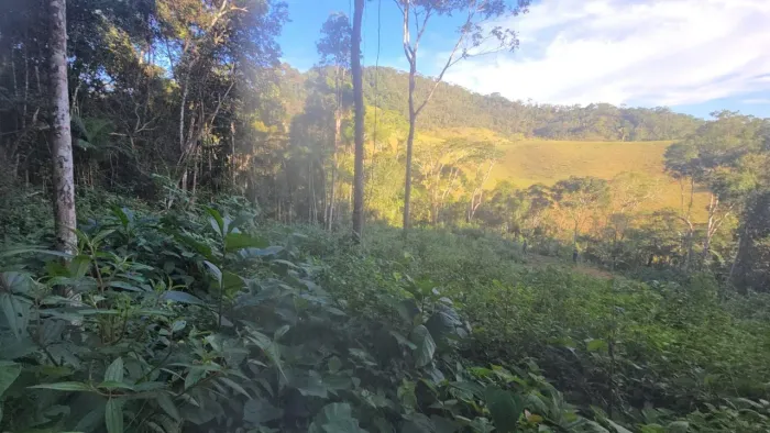 LOTE DE 5.000 M² NO PATRIMÔNIO DE APARECIDA - MARECHAL FLORIANO, TROCO VEÍCULOS, PARCELO.