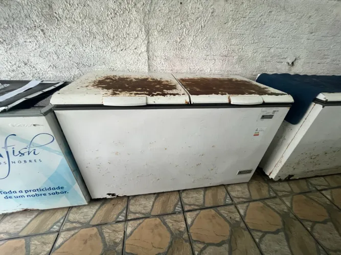 Freezer horizontal