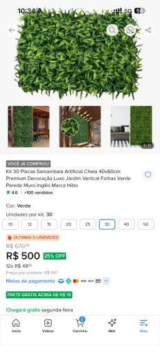 Placa Samambaia artificial (30 placas)