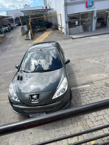 Peugeot 207 XR 1.4 Flex 8V 3P 2012