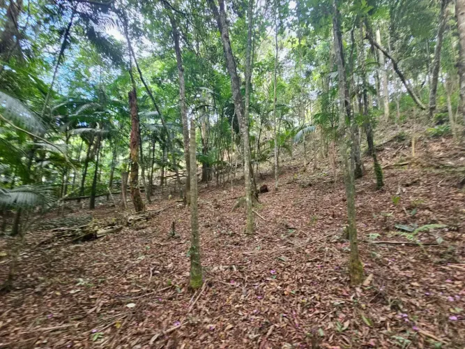 Terreno de 1300 metros próximo ao centro de Juquitiba