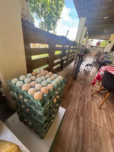 Venda de ovos caipira , diretamente da fazenda pra sua mesa