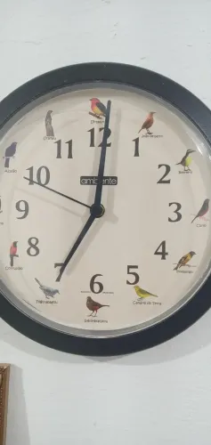 VENDO UM RELOGIO DE PAREDE CANTICO DOS PÁSSAROS FUNCIONA PERFEITAMENTE