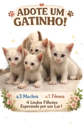 Adoção Gatinhos