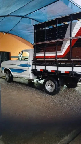 Ford F-100 Super 3.6 1978