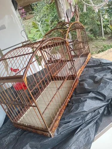 Vendo gaiolas tia chica 