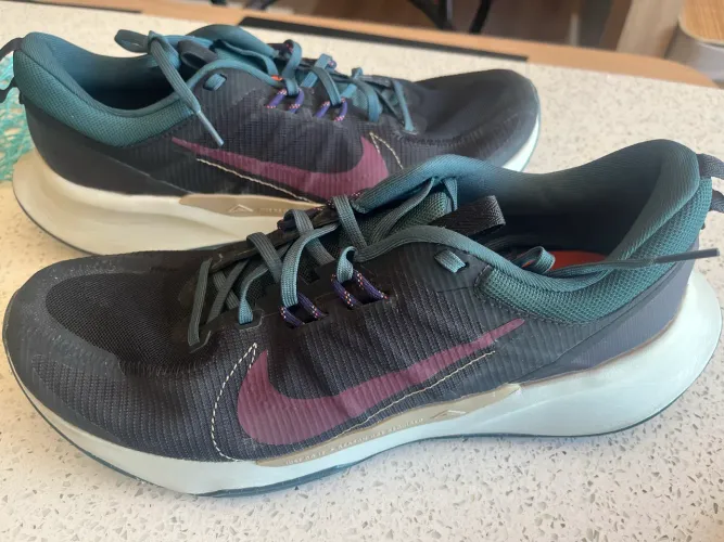 Tênis Nike Original  palmilha tamanho 30 cm Juniper Trail 2 tamanho 46