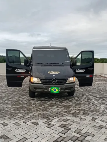 Sprinter 313