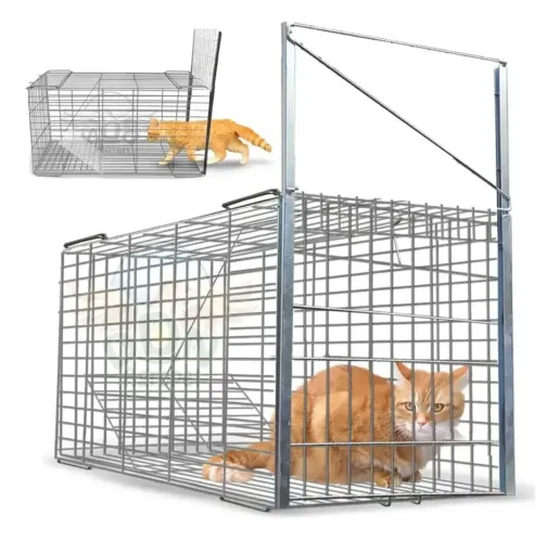 Gatoeira armadilha para gatos 