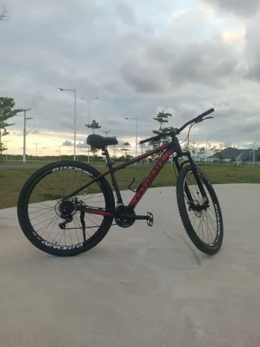Bike aro 29