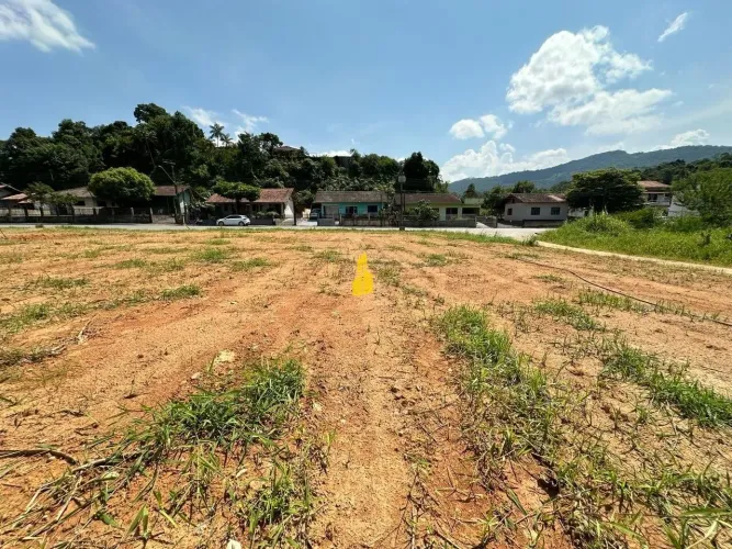 4 terrenos no Bairro Araponguinhas