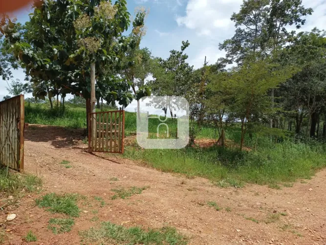 Sítio para venda na cidade Araguari Minas Gerais