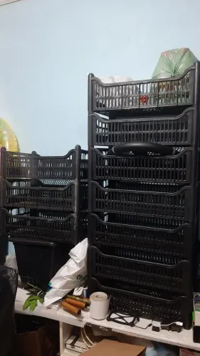Caixas plásticas