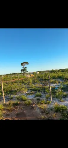 Vendo:Terrenos medindo 10x20 no Povoado Bela Vista,Santo Amaro das Brotas.