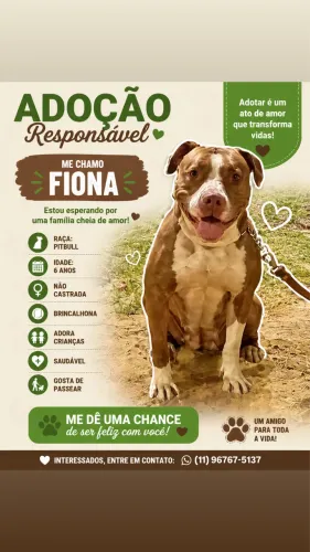 Doação responsável