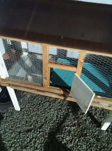 Casinha para pet