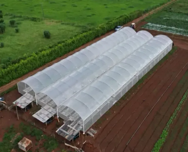 ESTUFA AGRÍCULA 24L X 51C X 4A