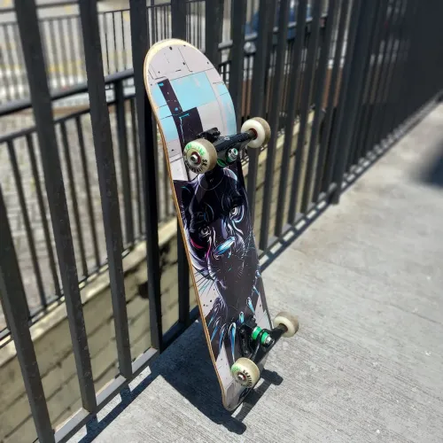 Skate PGS - Semi novo com pouco uso e em ótimo estado de conservação.