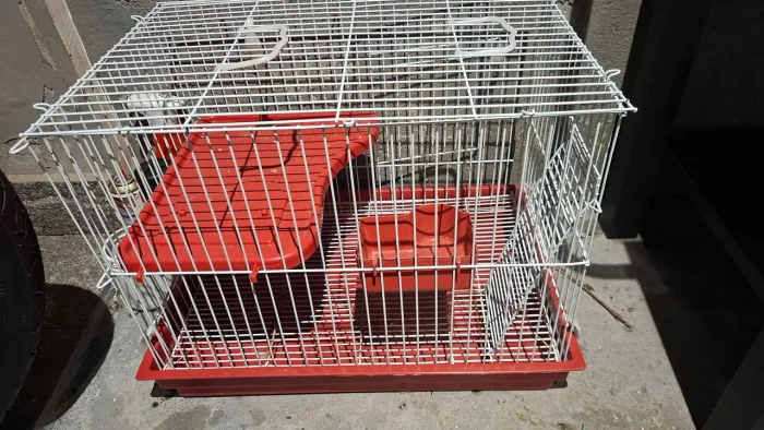 Gaiola para coelho