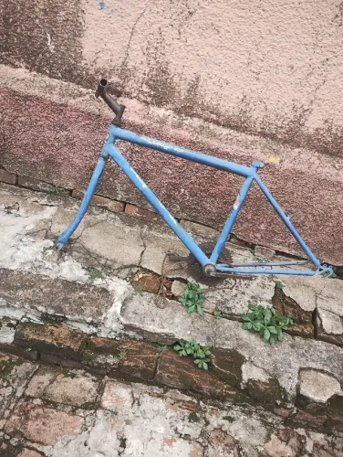 Quadro bicicleta