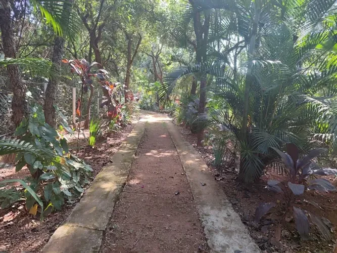 Oportunidade sítio com excelente preço asfalto na porta