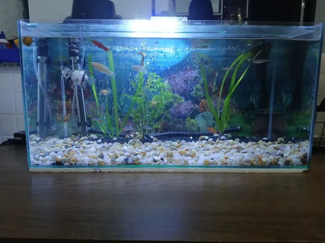 AQUARIO 60CM COM ILUMINAÇÃO 