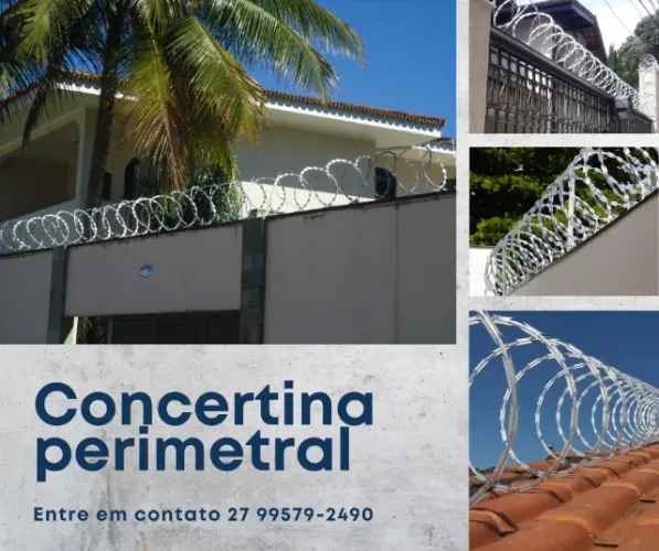 Concertina perimetral clipada