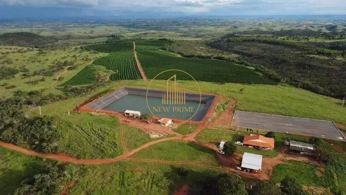 Fazenda com Café Irrigado à Venda 1.674 ha Minas Gerais