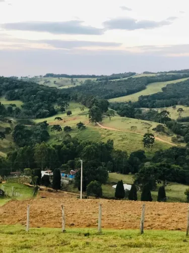 Emprego de caseiro em sitio 